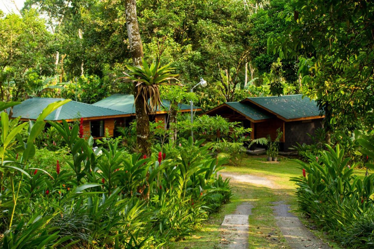 Eden Organic Farm & Bungalows La Fortuna 외부 사진