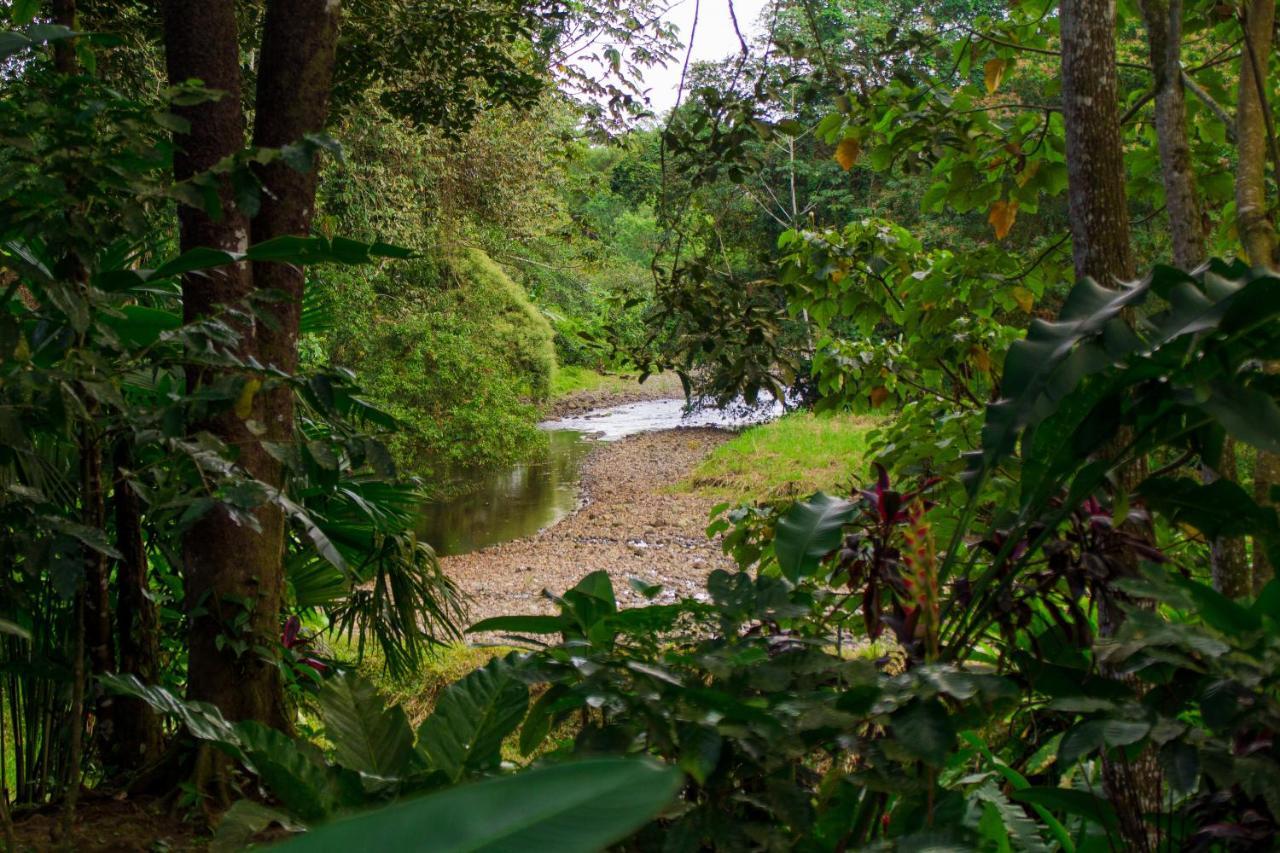 Eden Organic Farm & Bungalows La Fortuna 외부 사진